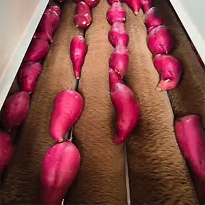 Reputación Buena: La Segunda Colaboración con Clientes