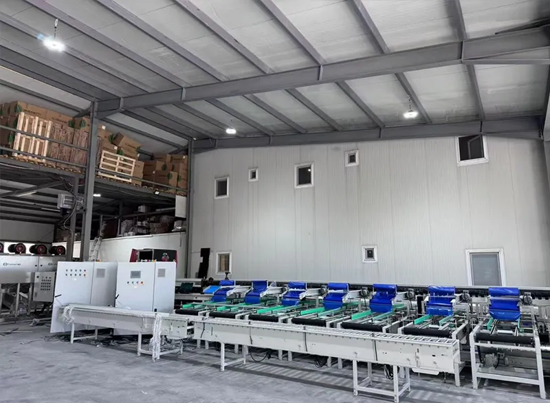 El equipo de FstSort instaló con éxito una línea de clasificación óptica de tomates en Bulgaria