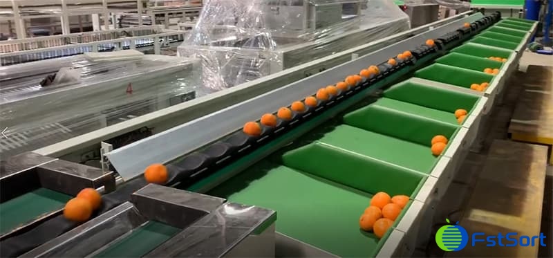 citrus-sorting-machine citrus-sorting-machine