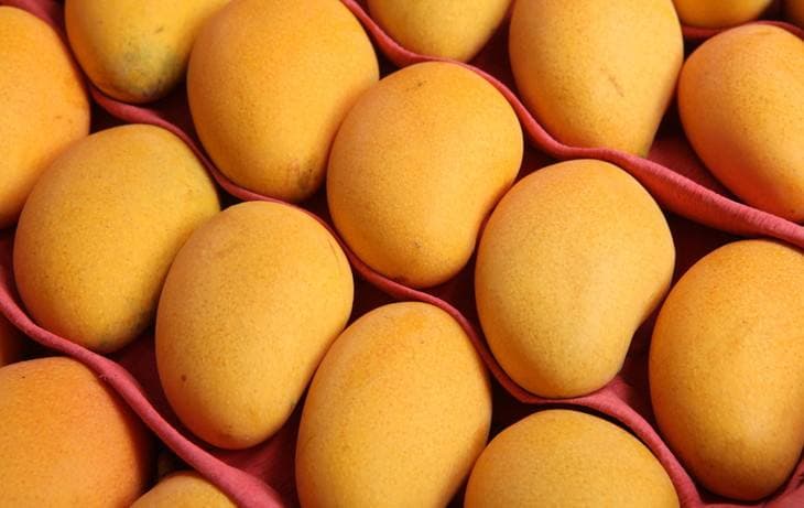 images/1600152503946mangoes.jpg