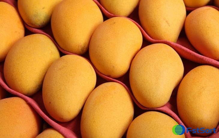 images/1600152503946mangoes.jpg