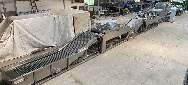 potato-cleaning-drying-line