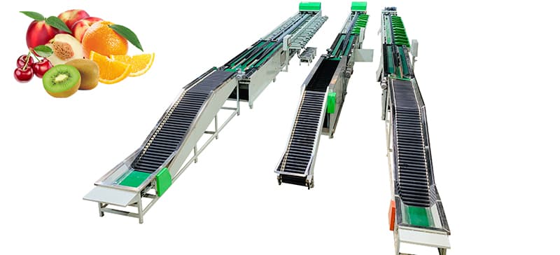 images/1600413974058fruits-sorter.jpg