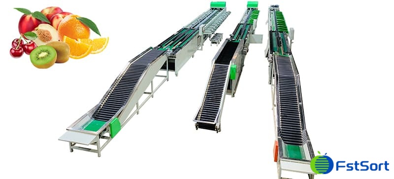 images/1600413974058fruits-sorter.jpg