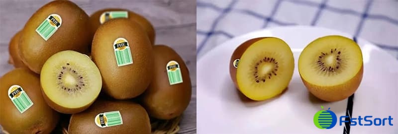 kiwis kiwis