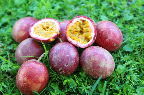 passion fruit