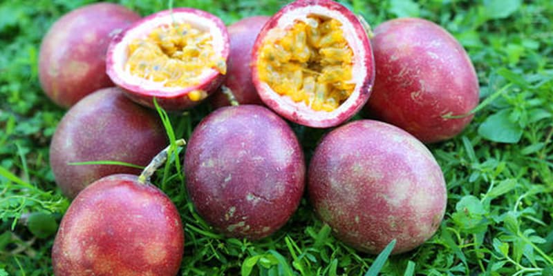 passion-fruits