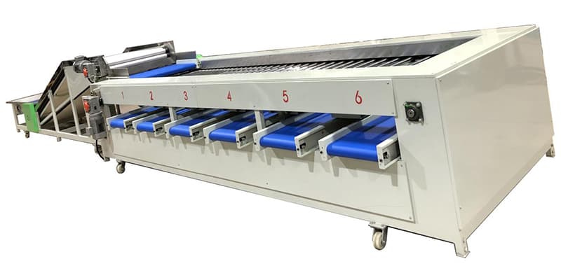 cherry pepper sorting machine