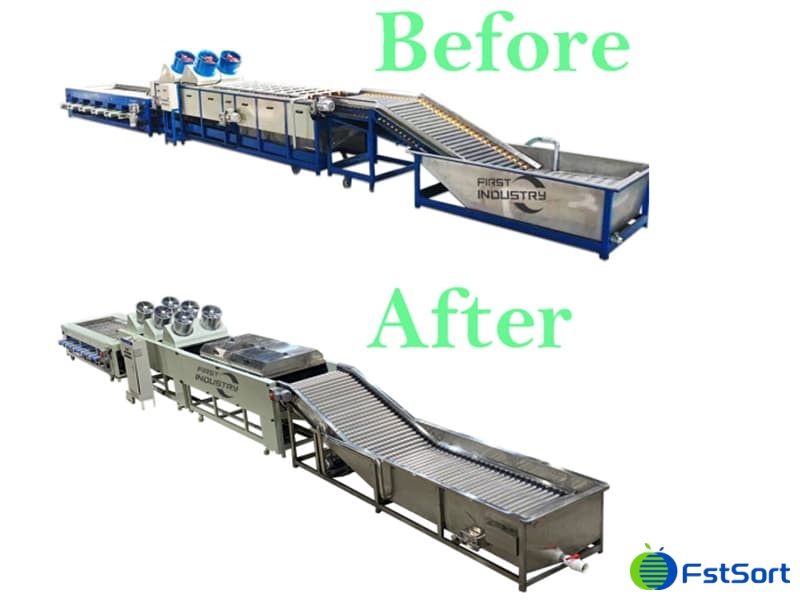 sweet-potato-washing-sorting-machine sweet-potato-washing-sorting-machine