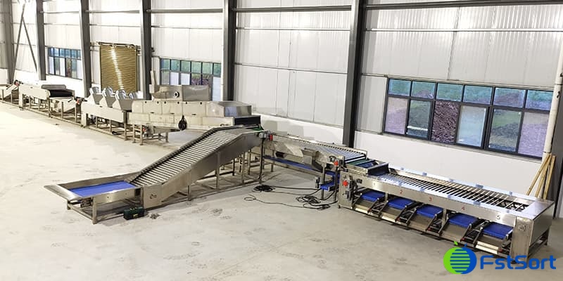 sweet-potato-cleaning-sorting-grading-machine sweet-potato-cleaning-sorting-grading-machine