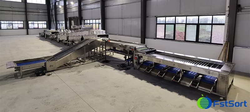 sweet-potato-cleaning-sizing-machine sweet-potato-cleaning-sizing-machine