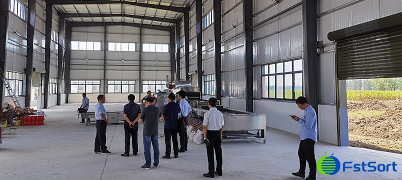 sweet potato cleaning sorting machine sweet potato cleaning sorting machine