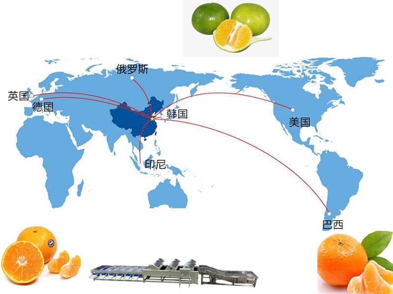 citrus-sorting-machine