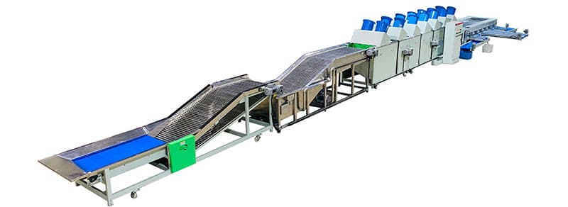 orange-washing-sizing-line