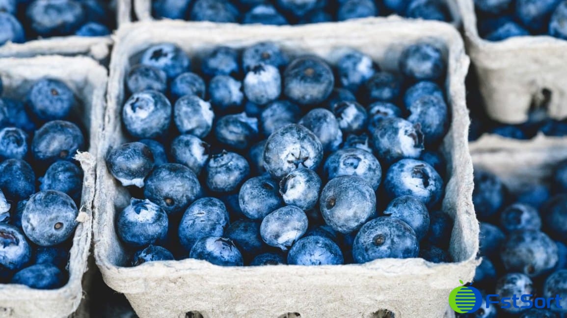 blueberries blueberries