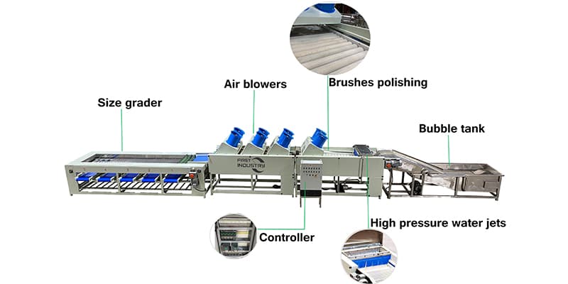 date washing drying sorting machine