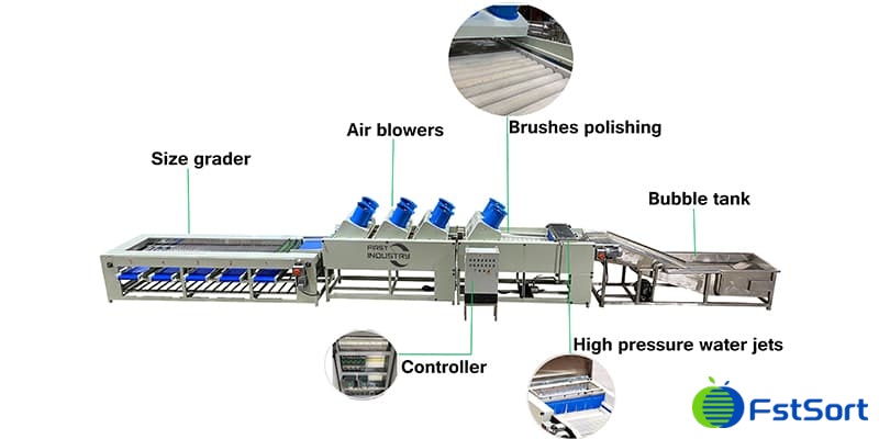 date washing drying sorting machine