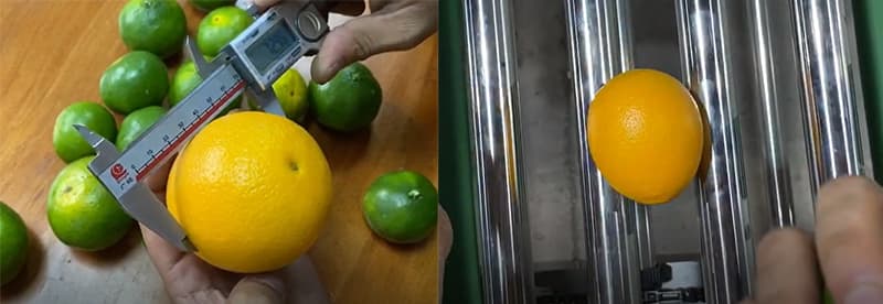 lemon sizing
