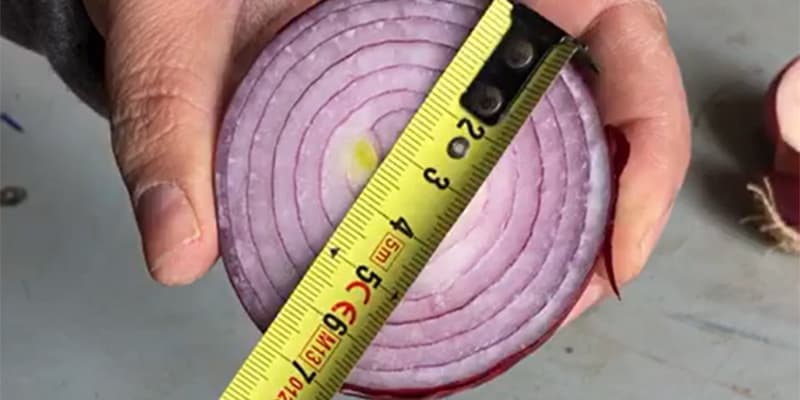 onion sizing