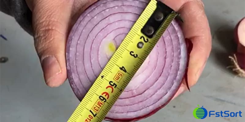 onion sizing onion sizing