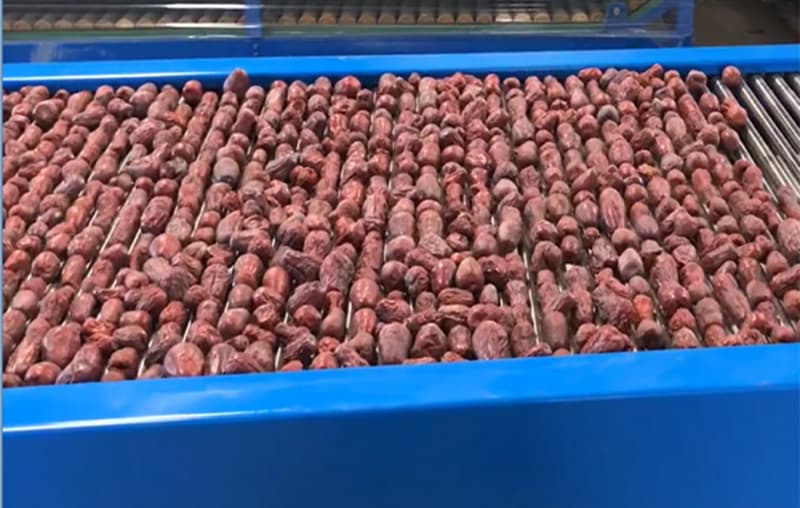 date-sizing-sorting-machine