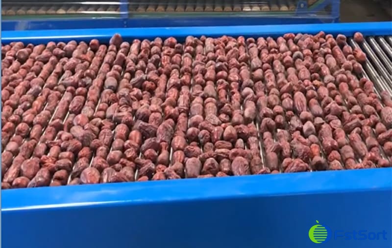 date-sizing-sorting-machine date-sizing-sorting-machine