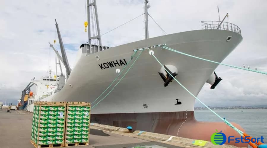 kiwi transport kiwi transport