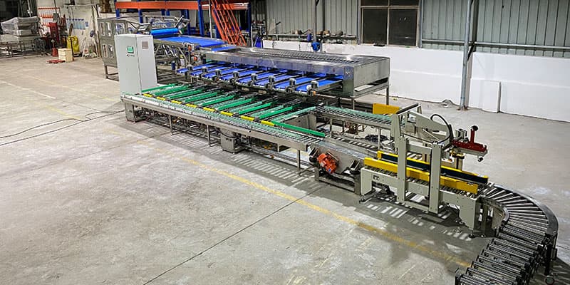 images/1604629296863fruit-packing-machine.jpg