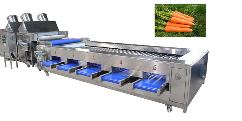 carrot-sizer