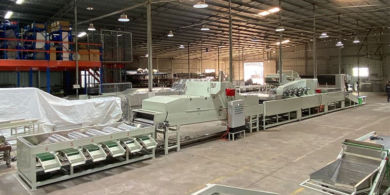 tangerine-cleaning-sorting-machine tangerine-cleaning-sorting-machine