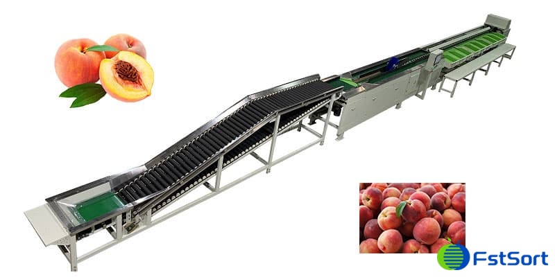 peach-sorting-machine peach-sorting-machine