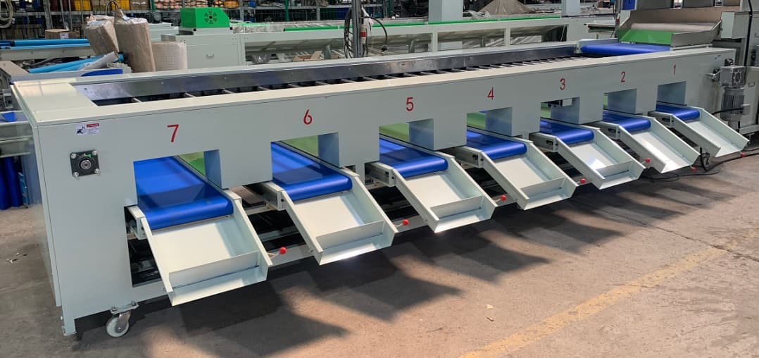 eggplant sorting machine