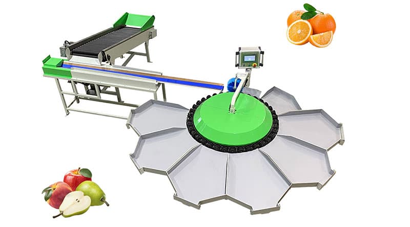 tangerine-sorting-machine