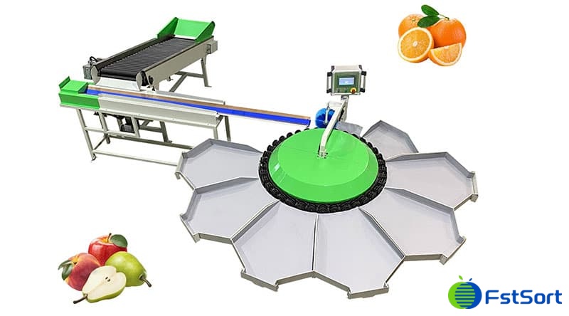 tangerine-sorting-machine tangerine-sorting-machine