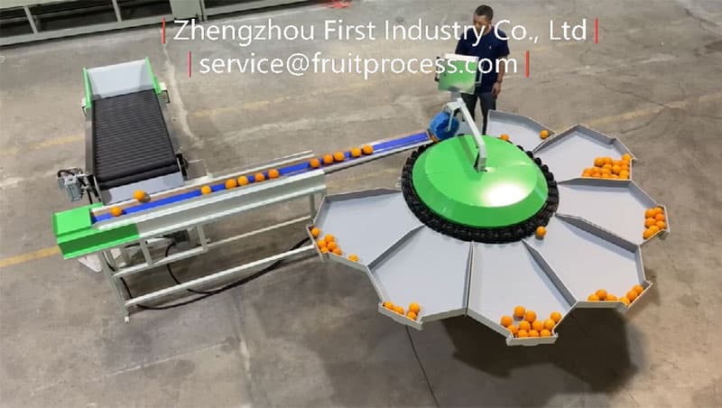 fruit-sorter