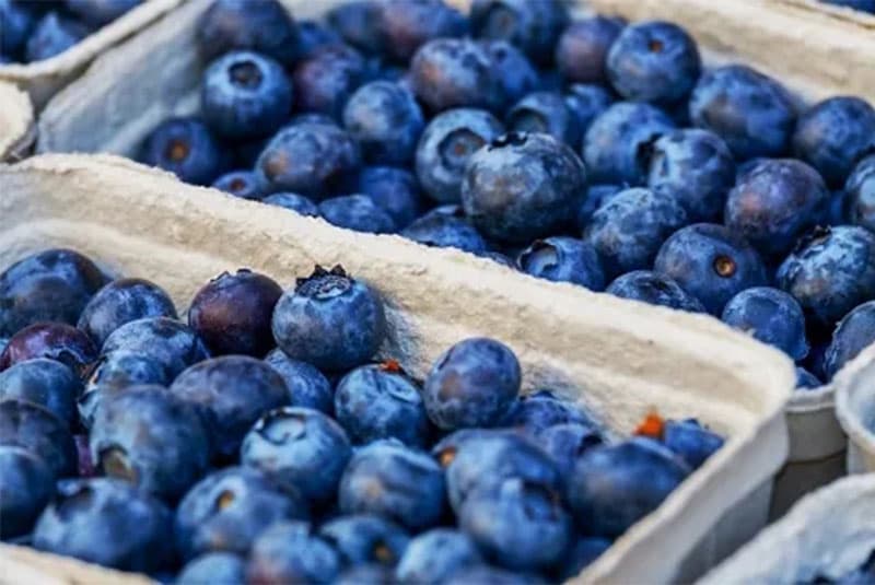 images/1606718664286blueberries.jpg