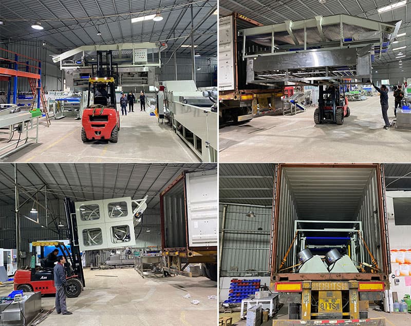 loading of cherry pepper sorting line