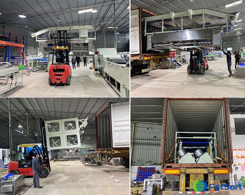 loading of cherry pepper sorting line loading of cherry pepper sorting line