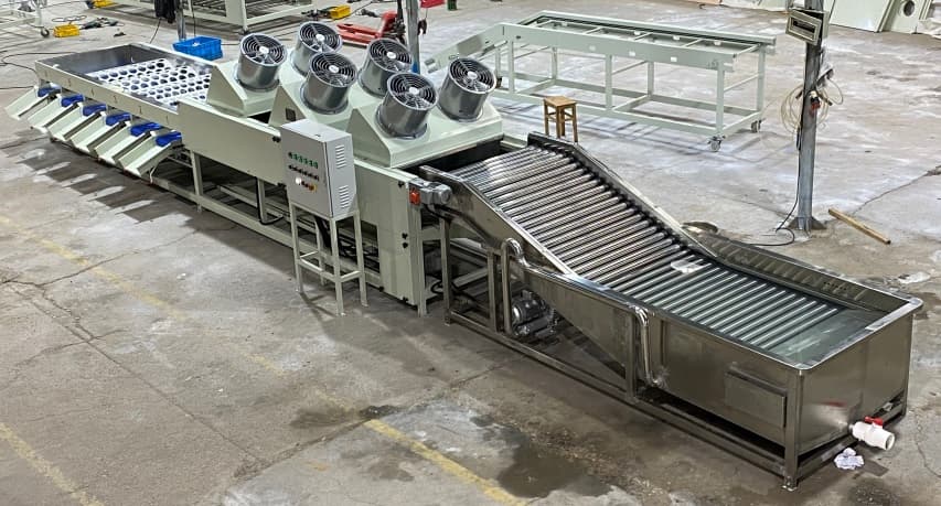 mandarin cleaning sorting line