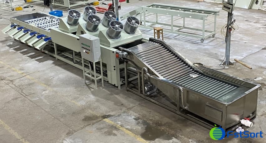 mandarin cleaning sorting line mandarin cleaning sorting line