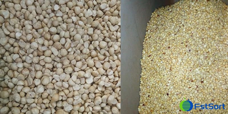 macadamias macadamias