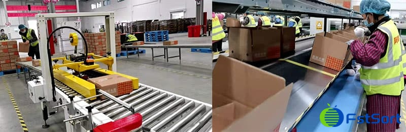 apple grading line apple grading line