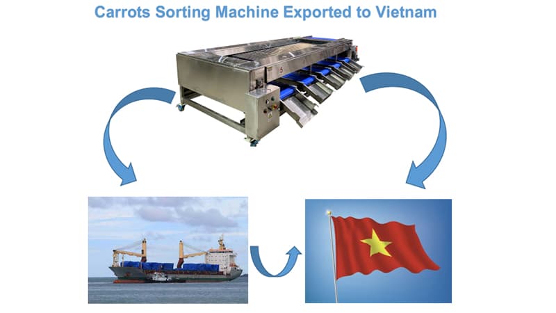 carrot-grading-machine