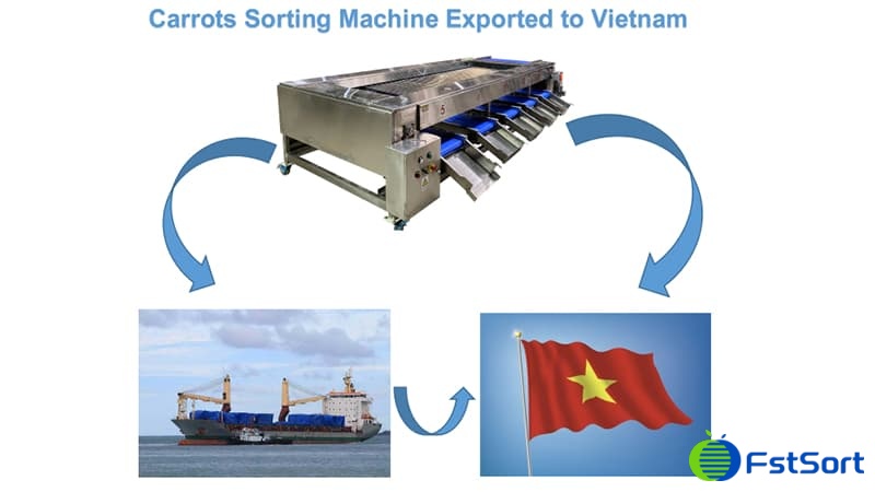 carrot-grading-machine carrot-grading-machine