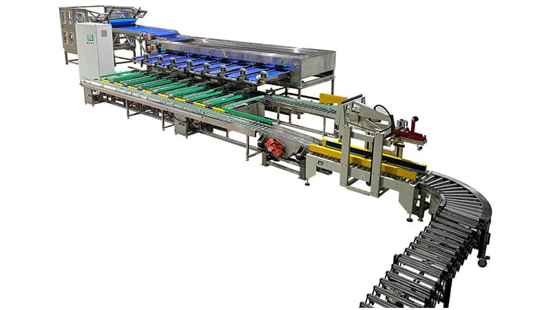fruit-sorting-packing-machine