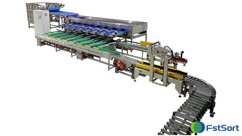 fruit-sorting-packing-machine fruit-sorting-packing-machine