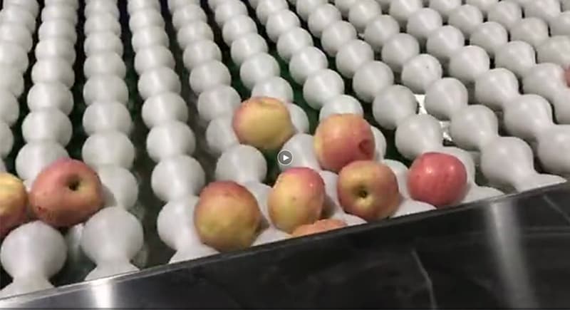 images/1608256477734apples.jpg