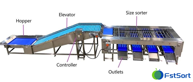 eggplant-sorting-machine eggplant-sorting-machine