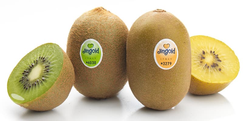 kiwis
