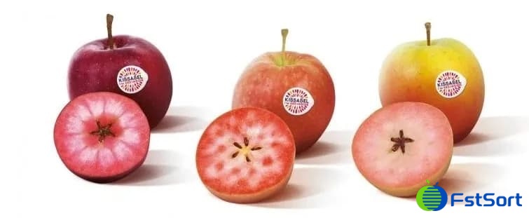 red apples red apples